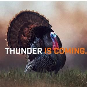 Meet your Posher, Darrell